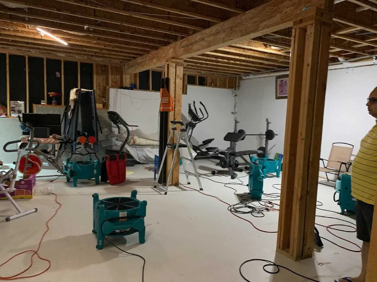 Basement drying equipment setup for Odor Removal & Deodorization in Manistee